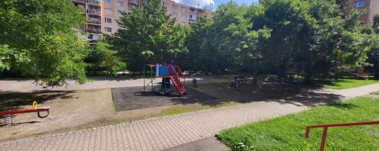 5279_4923288989.jpg